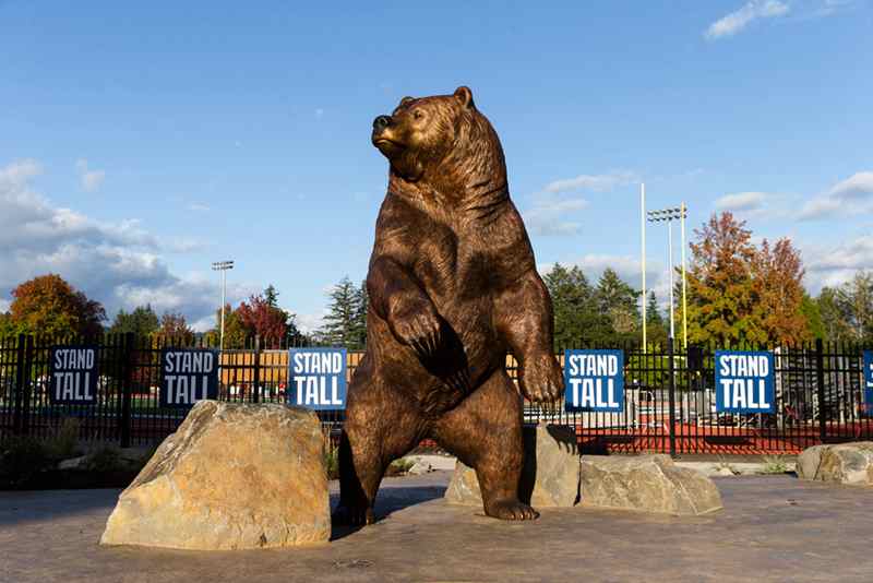 Большая Бронзовая Статуя Медведя